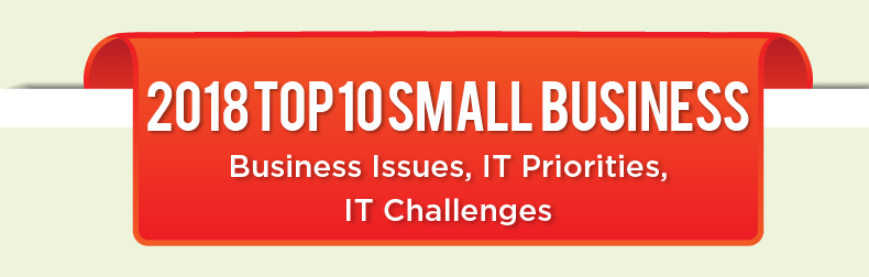 2018 Top 10 Small Business - Business Issues, IT Priorities, IT Challenges Infographic 
