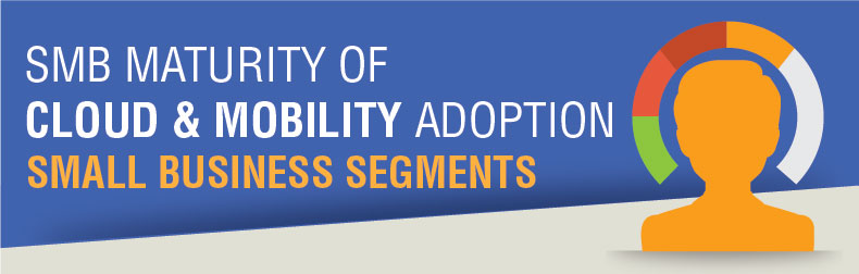 Small Business Cloud & Mobility Attitudinal Segments Infographic