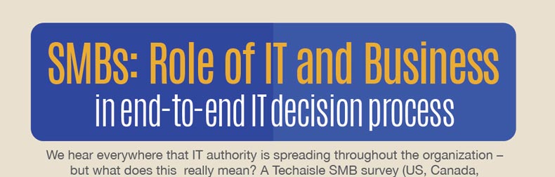 SMBs: Role of IT and Business in Decision Process Infographic