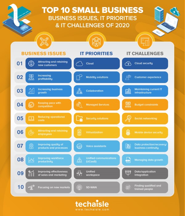 2020 top10 small business it priorities business issues techaisle infographics low res