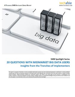 techaisle-20-questions-midmarket-bigdata-users