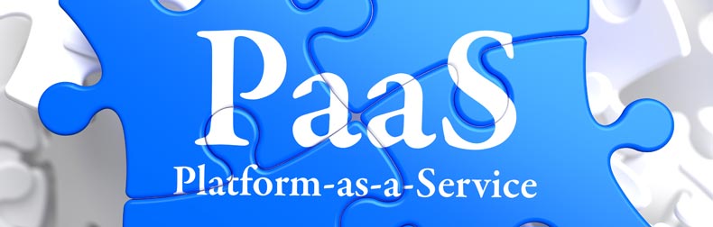 20 Questions with SMB PaaS Users