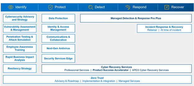 Cyber portfolio