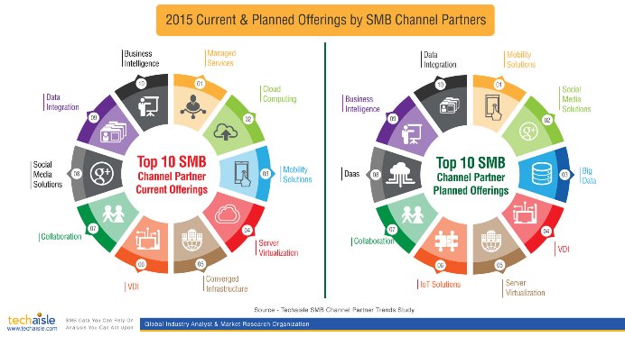 techaisle-smb-channel-partner-current-and-planned-offerings-infographic-resized